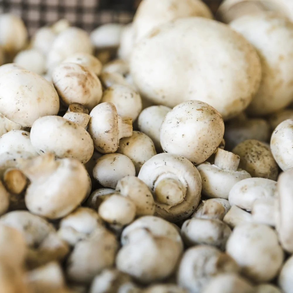 Mushrooms